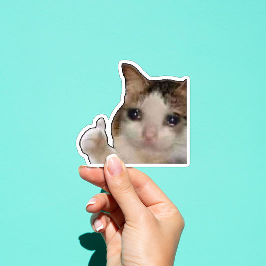 Cat Meme 01 Sticker
