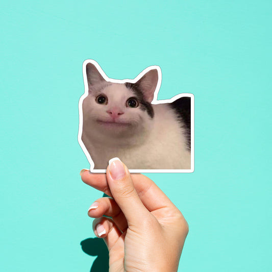 Cat Meme 02 Sticker