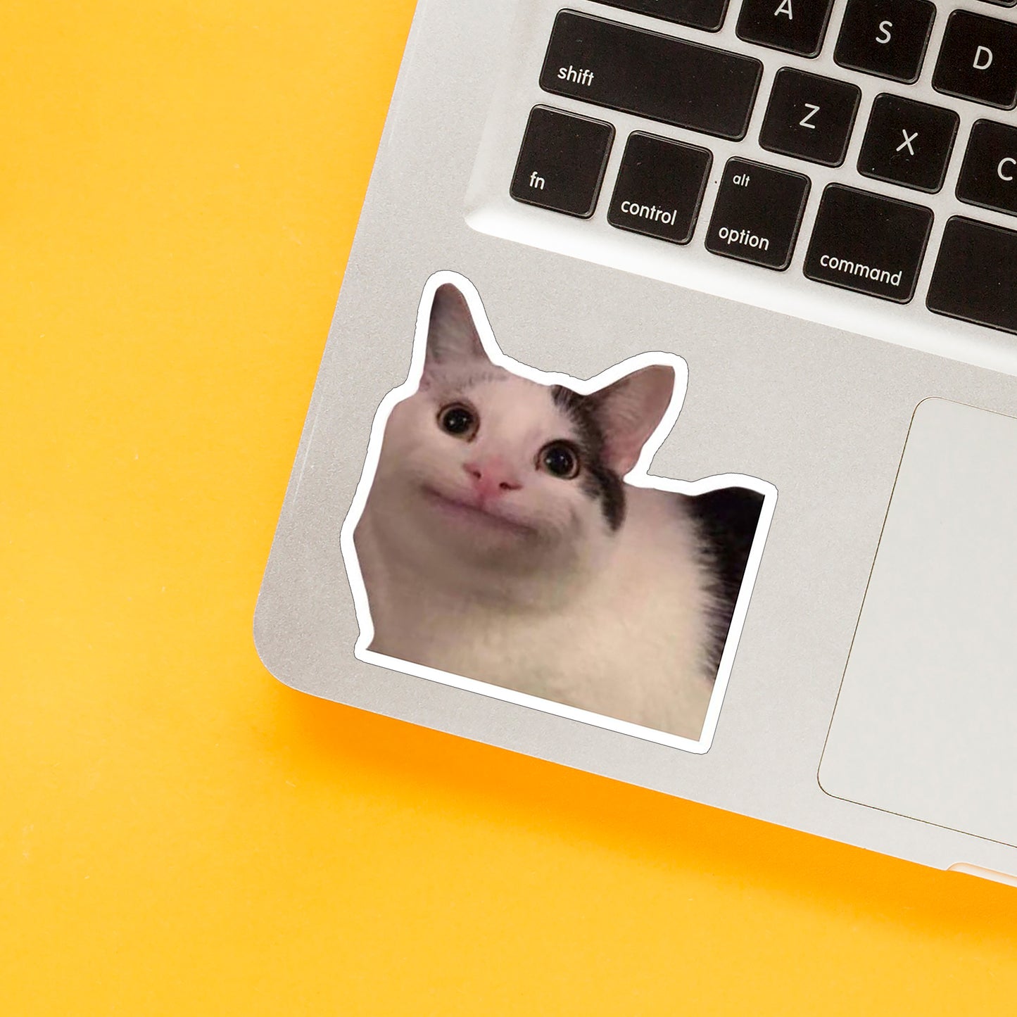 Cat Meme 02 Sticker
