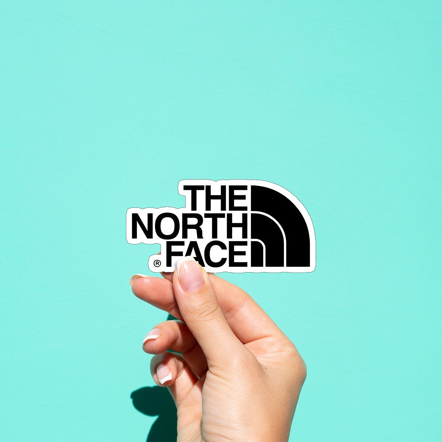 The North Face 01 Sticker