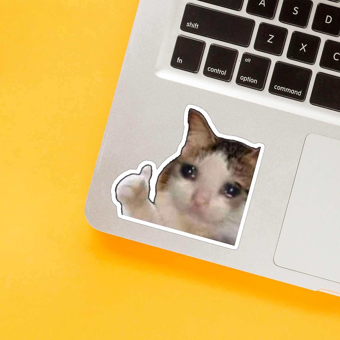 Cat Meme 01 Sticker