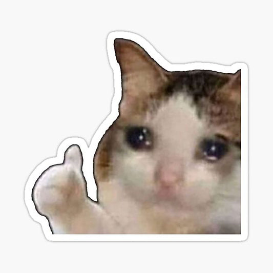 Cat Meme 01 Sticker