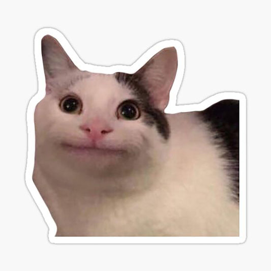 Cat Meme 02 Sticker